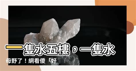 一隻水五樓|五樓一隻水新聞